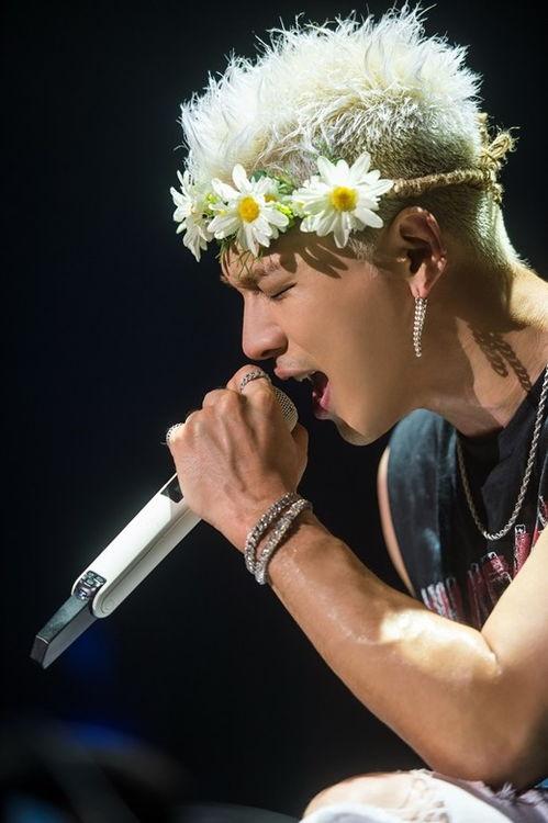 太阳娱乐现实歌手,闪耀舞台，唱响青春旋律