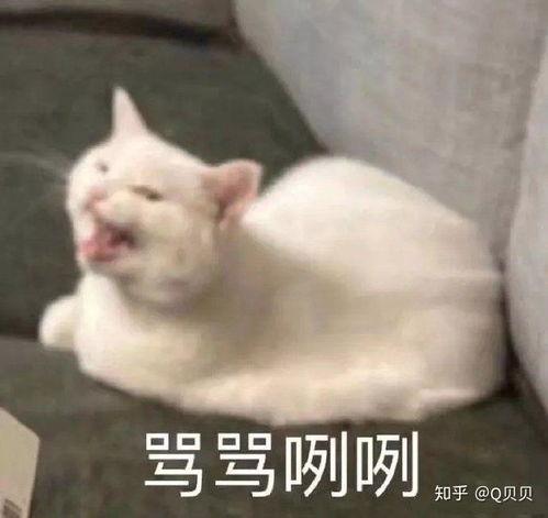 愤怒的表情包,揭秘愤怒表情包背后的情绪力量