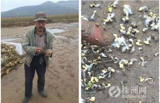 捉泥照片,自然与生命的交融